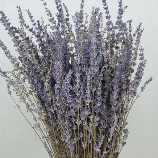 Lavender Romance: Premium Dried Flower Bundle for Wedding and Home Decor