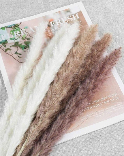 Timeless Elegance Pampas Grass Arrangement: A Chic Addition to Your Home Decor