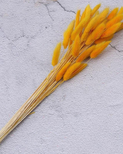 Timeless Elegance Pampas Grass Arrangement: A Chic Addition to Your Home Decor