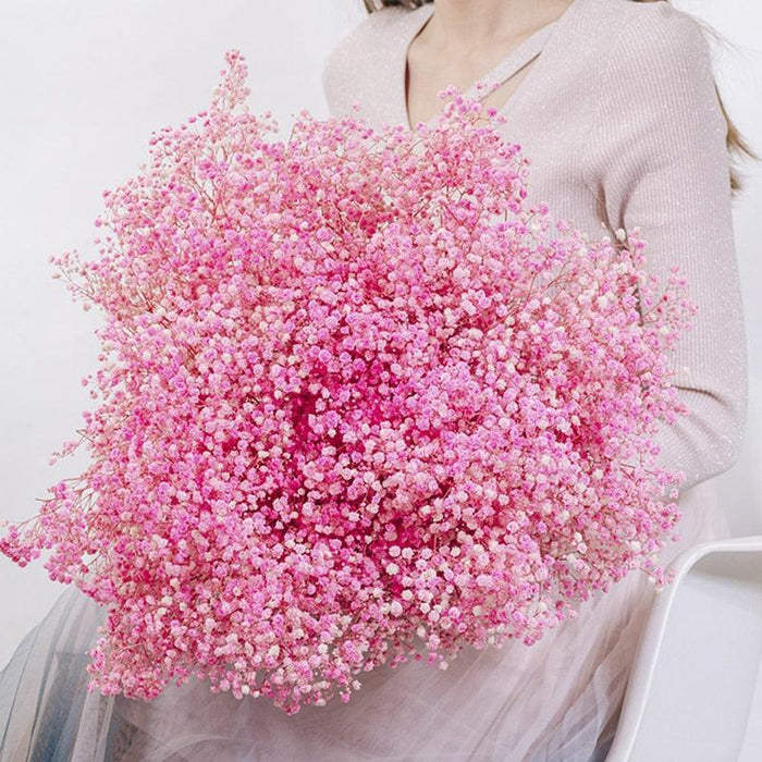 Elegant Preserved Baby's Breath Flowers: Japanese Technology for Chic Events and Decor