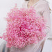 Elegant Preserved Baby's Breath Flowers: A Stylish Touch for Your Events and Home Decor