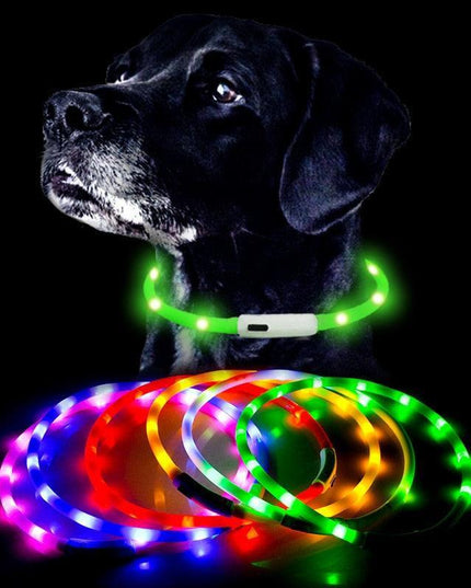 Illuminated USB Rechargeable Dog Collar for Optimal Night Safety and Visibility