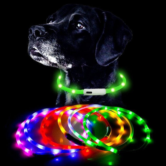 Illuminated USB Rechargeable Dog Collar for Optimal Night Safety and Visibility