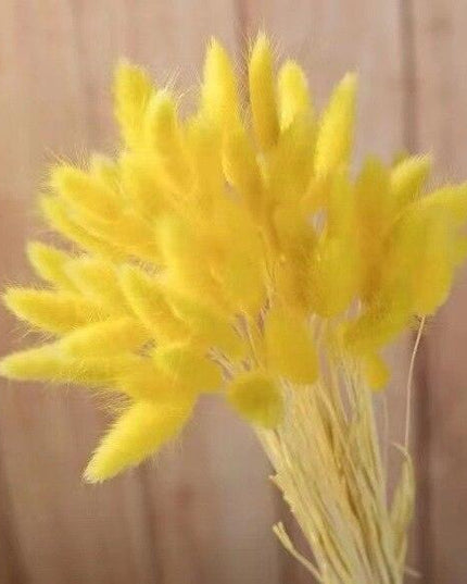 Rustic Boho Bunny Tail Dried Flower Arrangement for Weddings and Home Decor