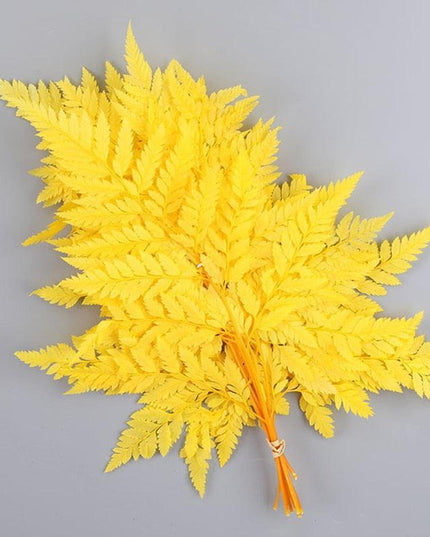 Alpine Serenity Fern Decor Kit: Bring the Essence of Nature Indoors