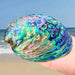 Enchanting Natural Abalone Shell Smudging Kit with Elegant Tripod Stand - 11-13CM