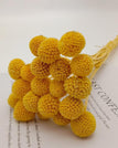 yellow / 20pcs