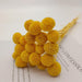 Golden Ball Dried Flowers - Luxurious Set of 20pcs for Elegant Home and Wedding Decor