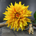 1pc Luxury Botanica Real Touch Dahlia Artificial Flowers