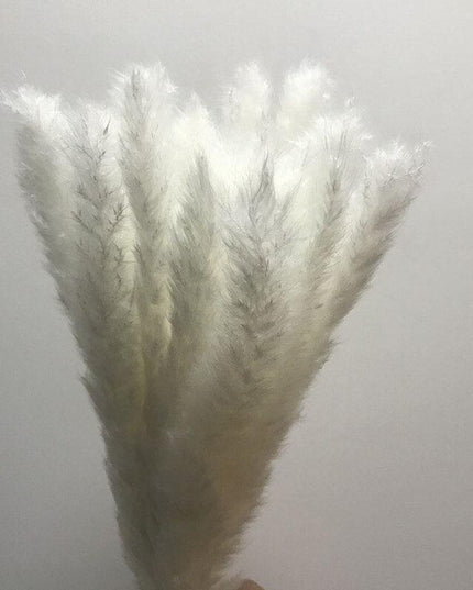 Bohemian Charm: 15-Piece Dried Pampas Grass Set - 45cm Stems