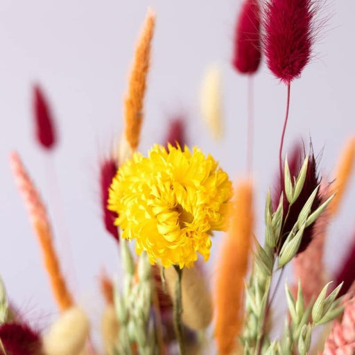 Handpicked Dried Flower Bouquet - Natural Dried Flowers for Home Decor