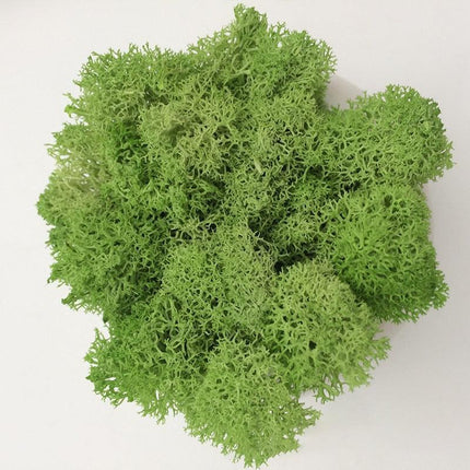 Timeless Elegance Moss Collection: Luxurious Artificial Plants for Upscale Home Decor