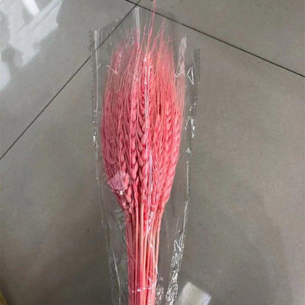 Golden Wheat Ear Dried Bouquet Collection - 45 Natural Stalks