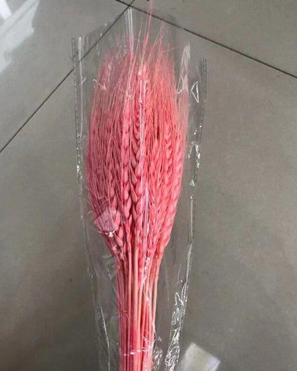 Golden Wheat Ear Dried Bouquet Collection - 45 Natural Stalks