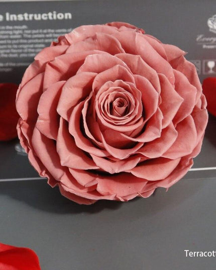Timeless Grace: Luxurious Preserved Rose Head for Lasting Splendor