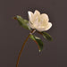 Lifelike Handcrafted Magnolia Stem Bundle