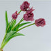 Parrot Tulip Artificial Flower Bouquet - 5-Piece Luxury Set