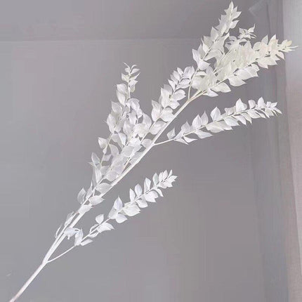 Elegant Dried Ruscus Leaf Ensemble: Perfect for Celebrations & Home Decoration
