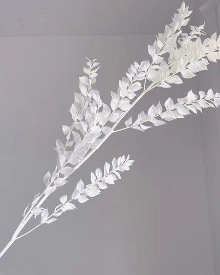 Elegant Dried Ruscus Leaf Ensemble: Perfect for Celebrations & Home Decoration