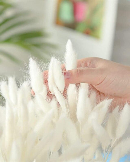 Whimsical Dried Bunny Tail Floral Arrangement - Elegant Home Decor