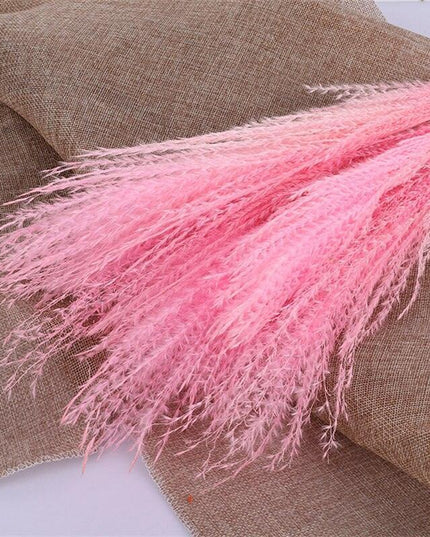 Timeless Elegance Pampas Grass Arrangement: A Chic Addition to Your Home Decor