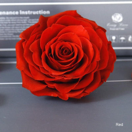 Timeless Grace: Luxurious Preserved Rose Head for Lasting Splendor