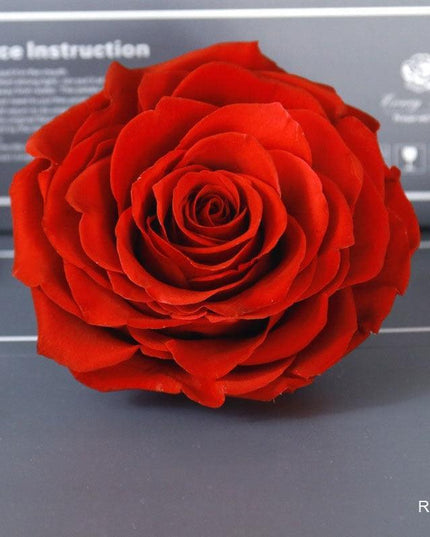Timeless Grace: Luxurious Preserved Rose Head for Lasting Splendor