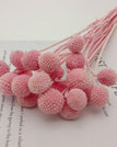 pink / 20pcs