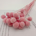 Ball Flowers - Set of 20pcs/Lot for Home, Wedding, and Real Decorations
