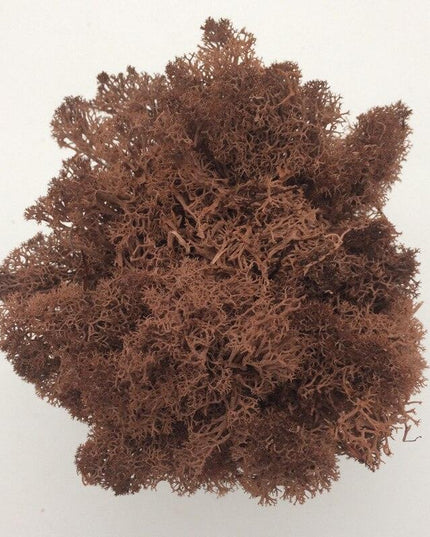 Timeless Elegance Moss Collection: Luxurious Artificial Plants for Upscale Home Decor