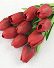 케이와인 레드튤립