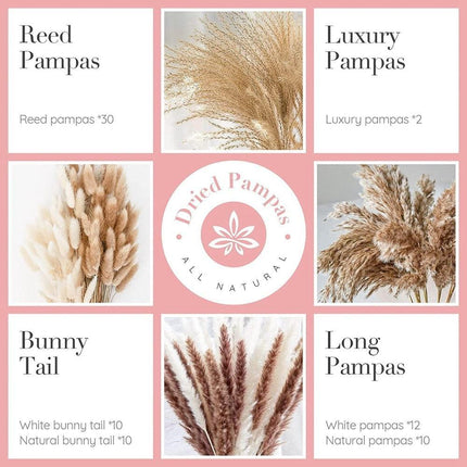 Enchanting Bohemian Bliss: 74-Piece Sun-Kissed Pampas Grass Decor for Stunning Weddings