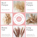 Natural Boho Chic: 74-Piece Dried Pampas Grass Bouquet for Wedding Decor