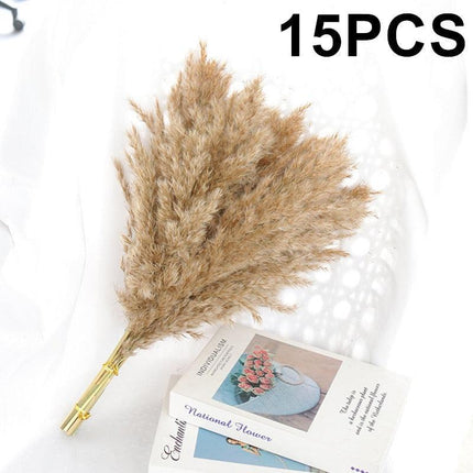 Reed and Blossom Serenity Dried Flower Arrangement