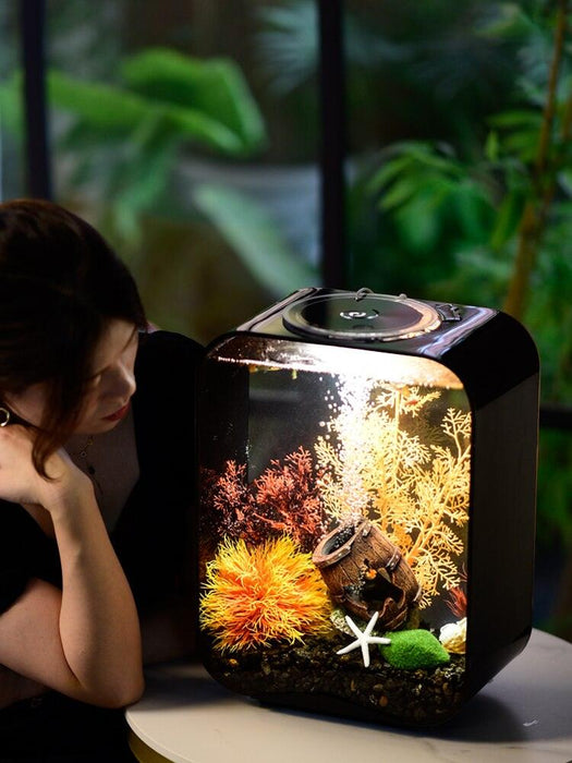Luxury Botanica Modern Small Ecological Fish Tank