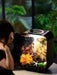 Luxury Botanica Modern Small Acrylic Fish Tank with LED Lighting