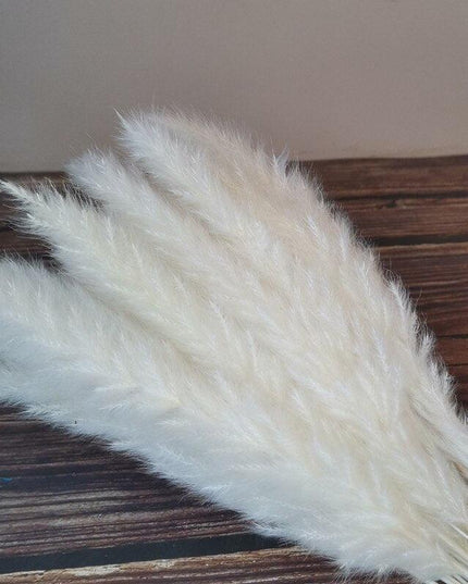 Chic Pampas Grass Home Decor Set - 15 Beautiful Dried Bouquets