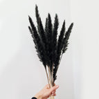 30pcs black Reed