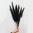 30pcs black Reed