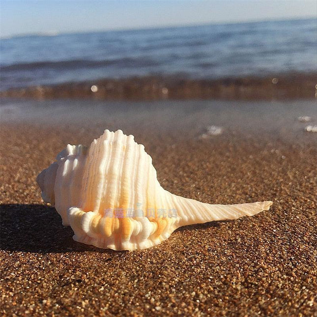 Seaside Serenity: Handcrafted Conch Shell Snail Pipe for Aquarium Aesthetics