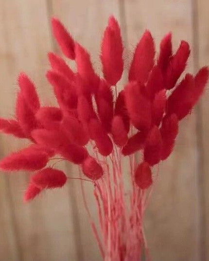 Rustic Boho Bunny Tail Dried Flower Arrangement for Weddings and Home Decor