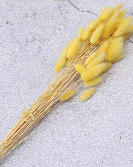 Timeless Elegance Pampas Grass Arrangement: A Chic Addition to Your Home Decor