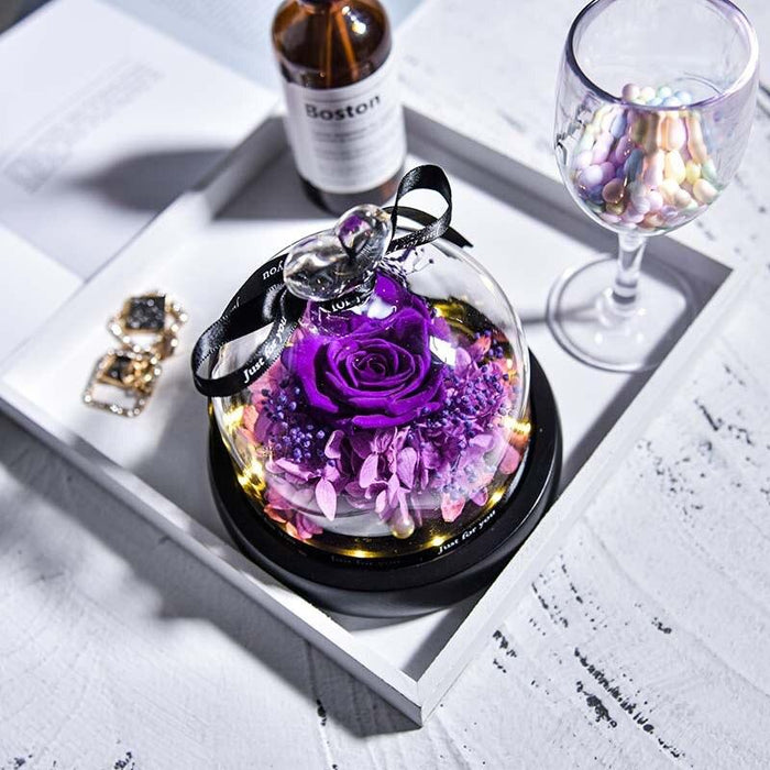 Enchanting Rose Beauty: Eternal Rose in Glass Dome with Illuminating Lights