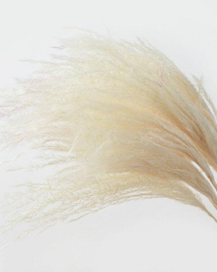 Chic Dried Pampas Grass and Reed Arrangement for Home and Wedding Decor