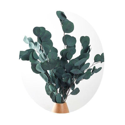 Serene Eucalyptus Essence: A Botanical Wonder for Every Setting - Très Elite