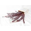 red / 25 g 28-35cm