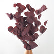 dark red / 25 g 28-35cm