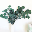 green / 25 g 28-35cm