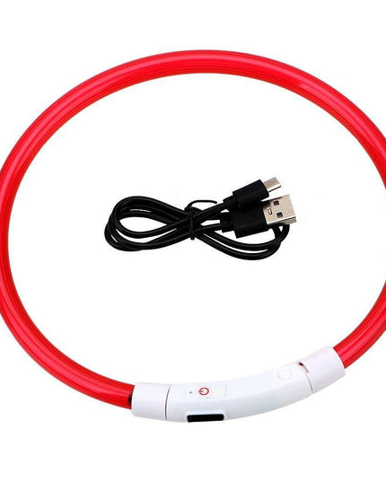 Illuminated USB Rechargeable Dog Collar for Optimal Night Safety and Visibility