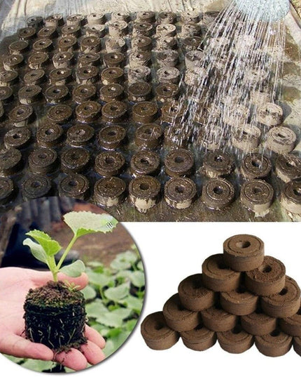 Sustainable Seedling Starter Kit with Biodegradable Peat Blocks for Thriving Gardens